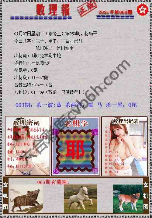 数理报
