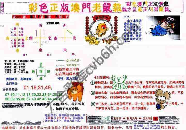 澳门老鼠报