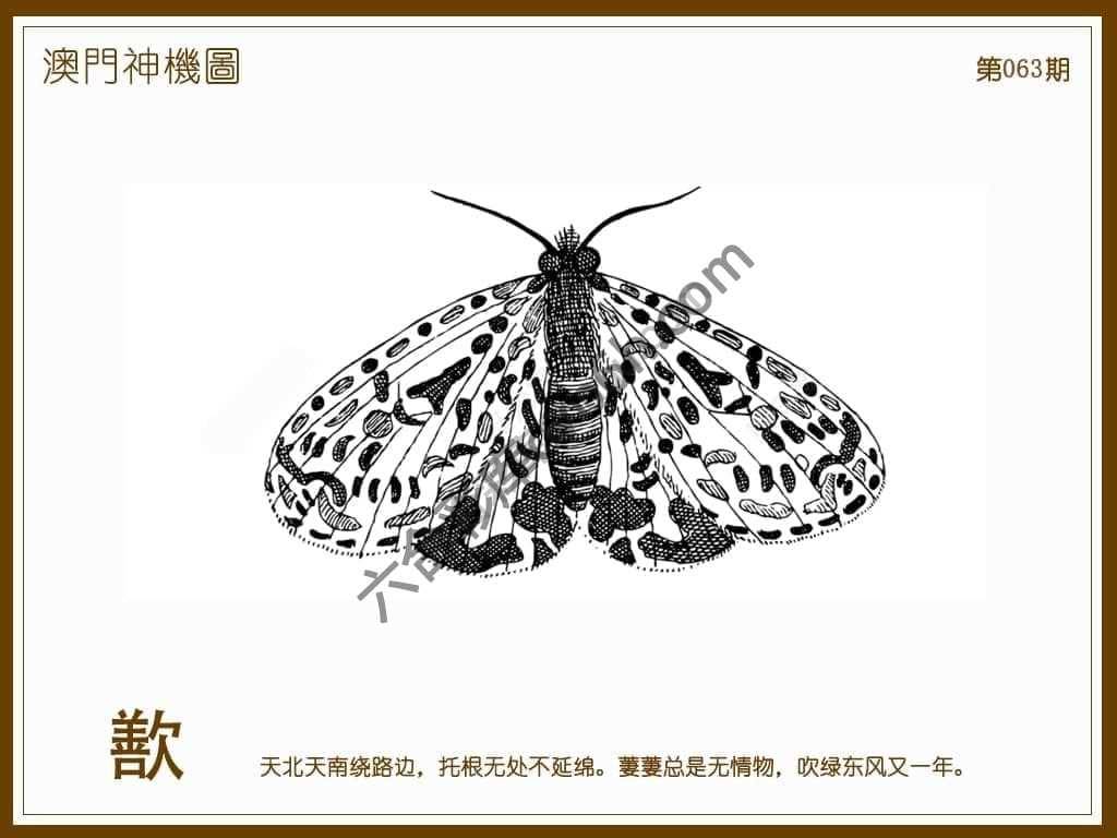 澳门神机图