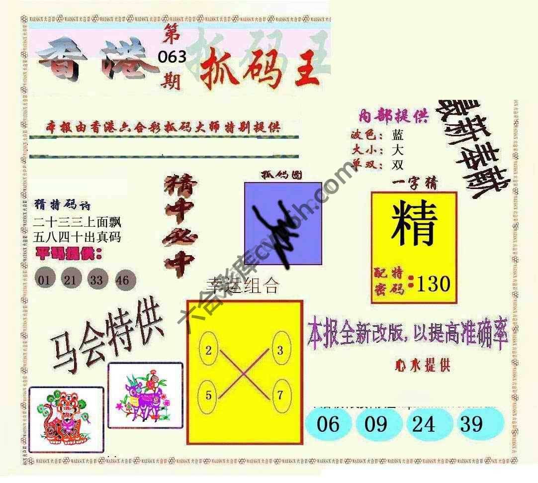 新抓码王