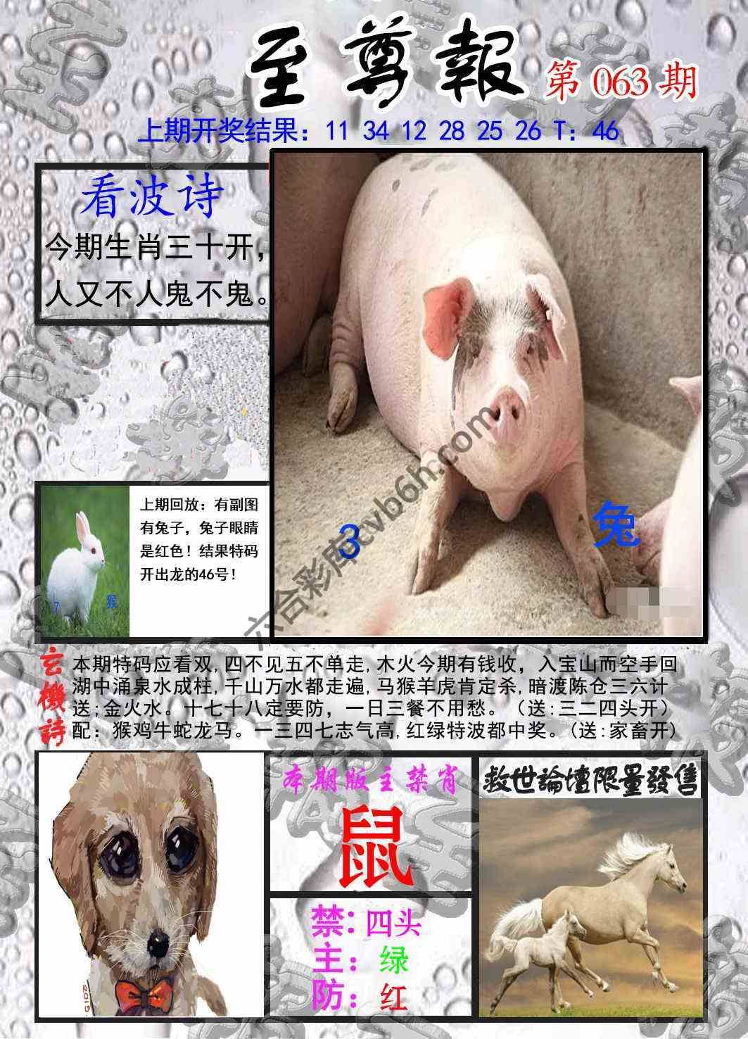至尊报