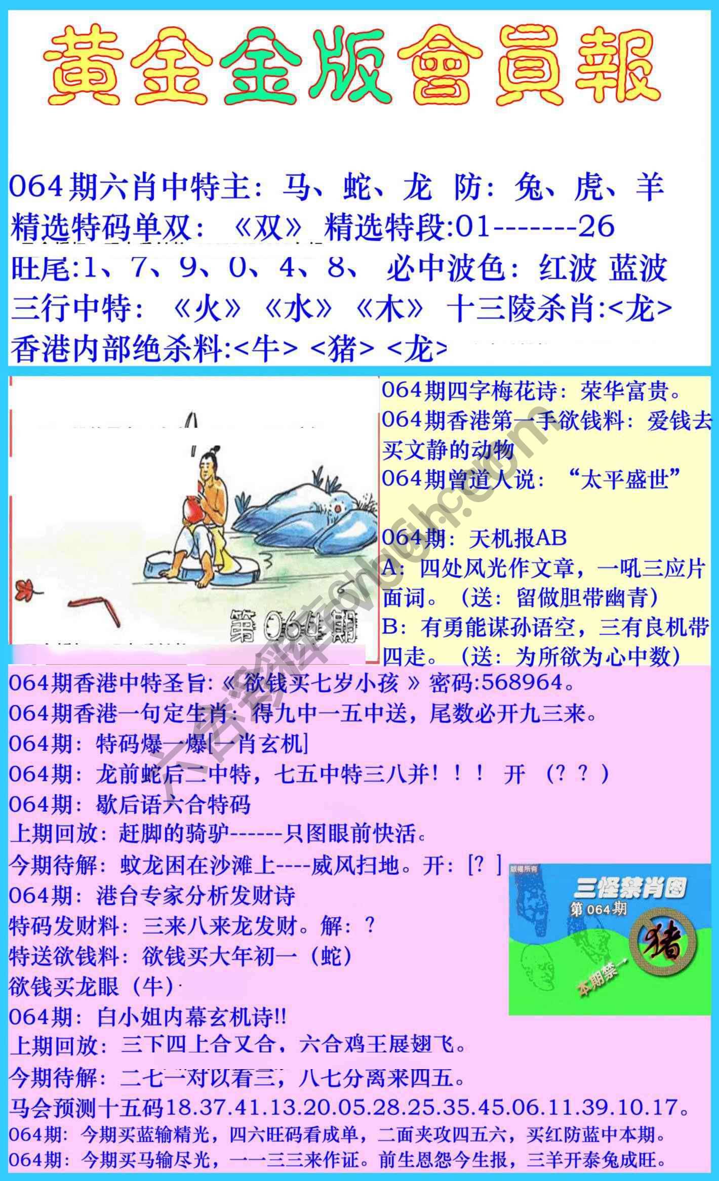 黄金金版会员报