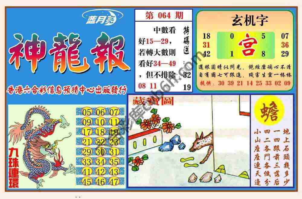 蓝月亮神龙报