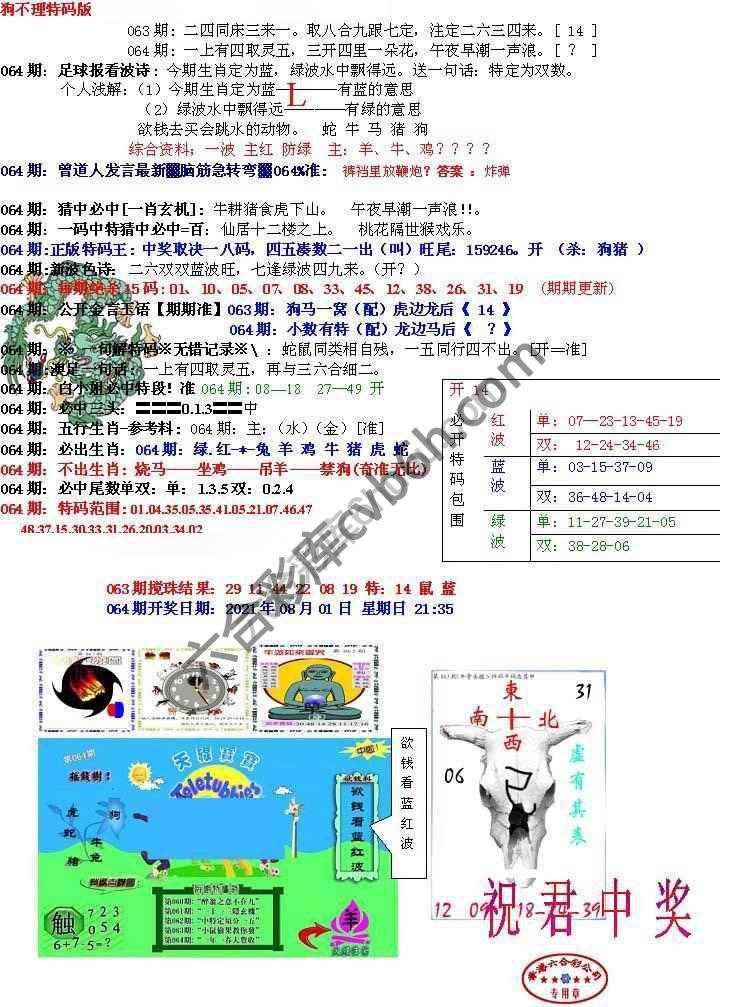 青龙五鬼报
