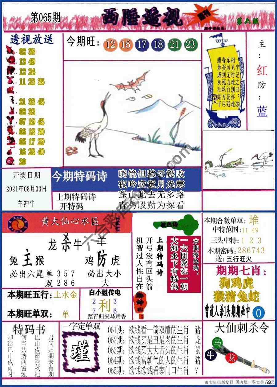西陲透视（正版）