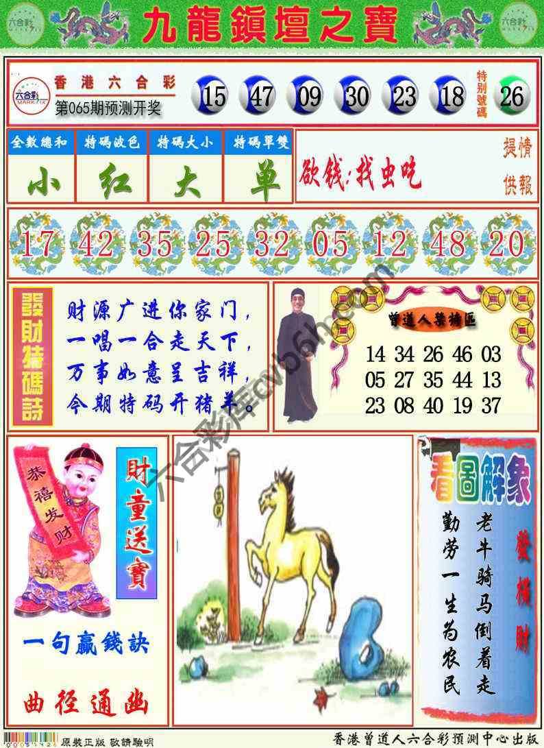 九龙挂牌解特码