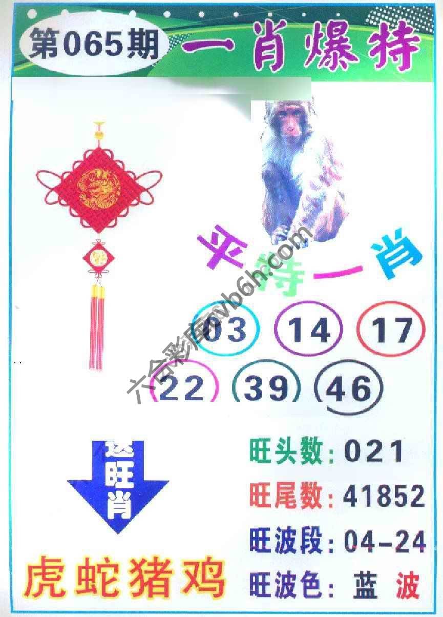 一肖爆特（新版）