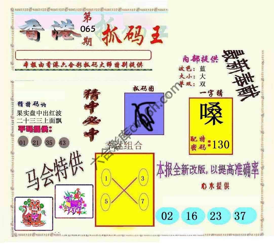 新抓码王
