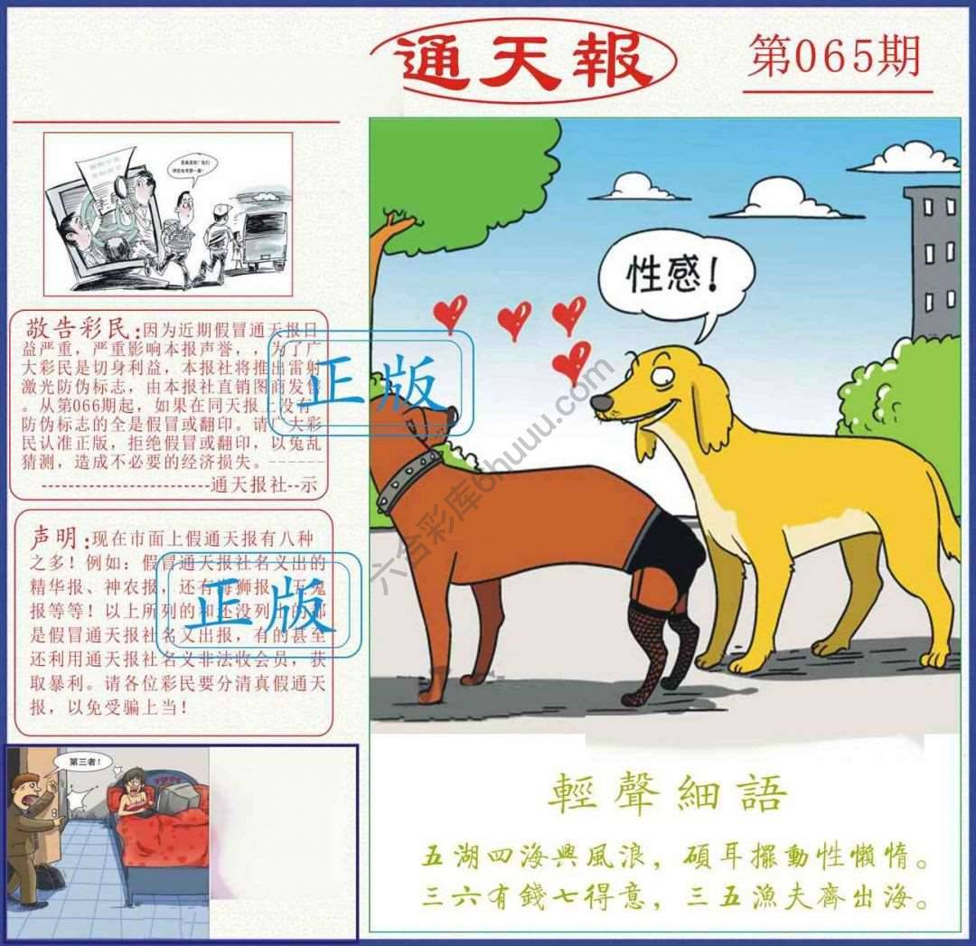 正版通天报