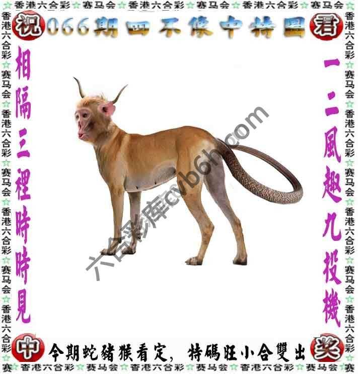 四不像中特图