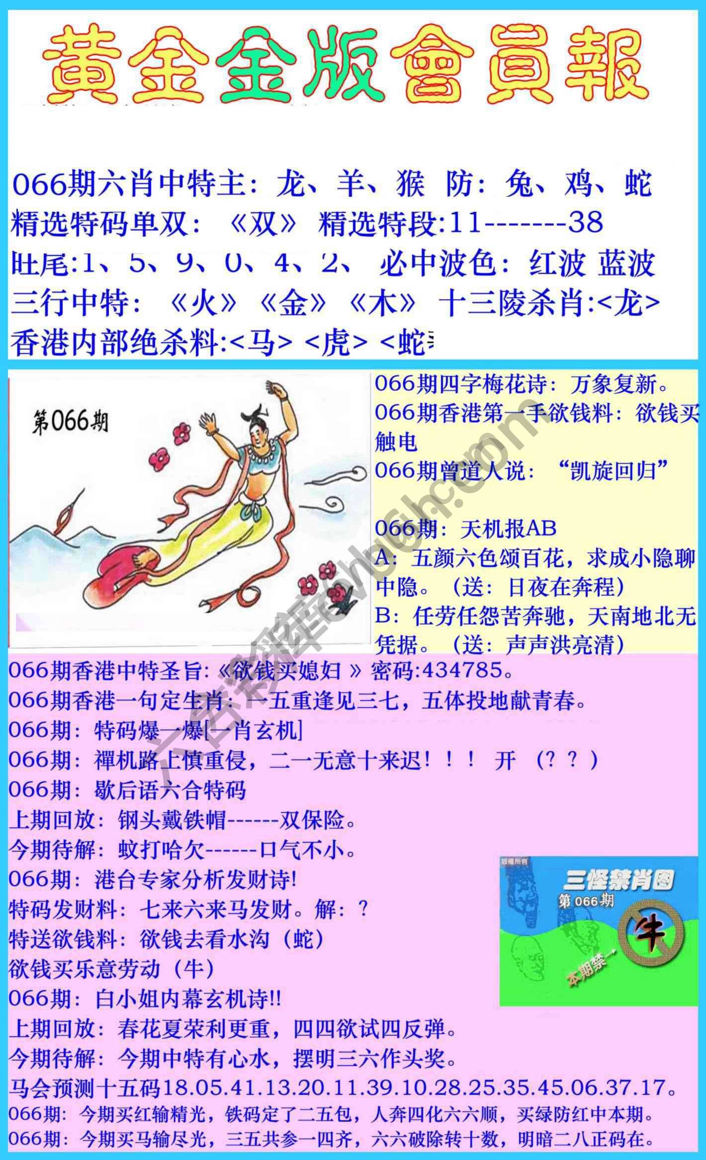 黄金金版会员报