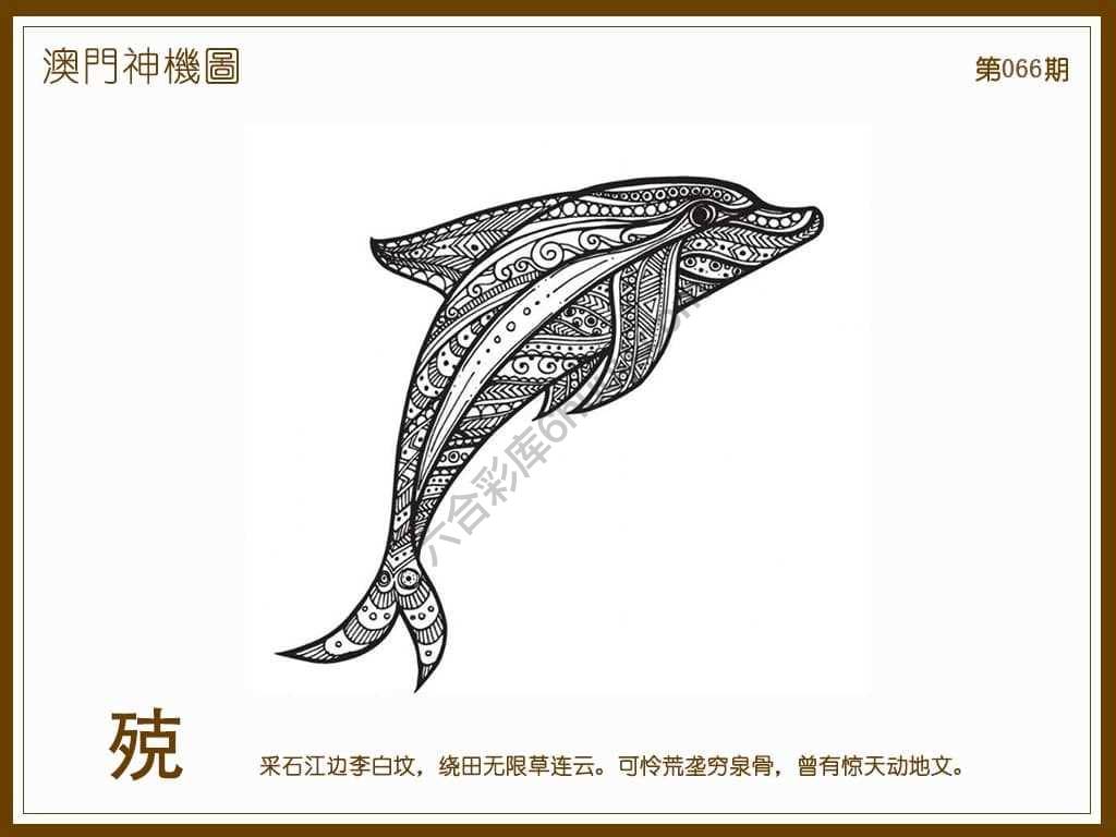 澳门神机图