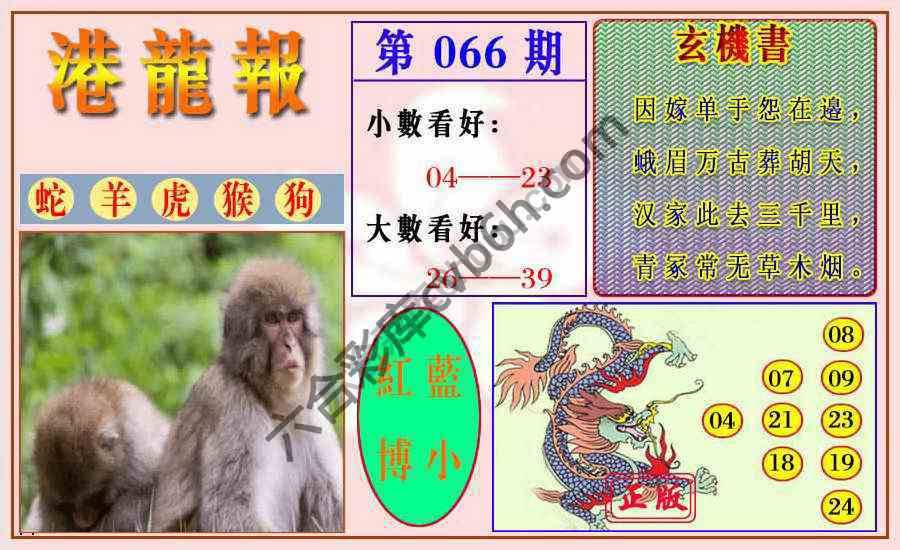 港龙报