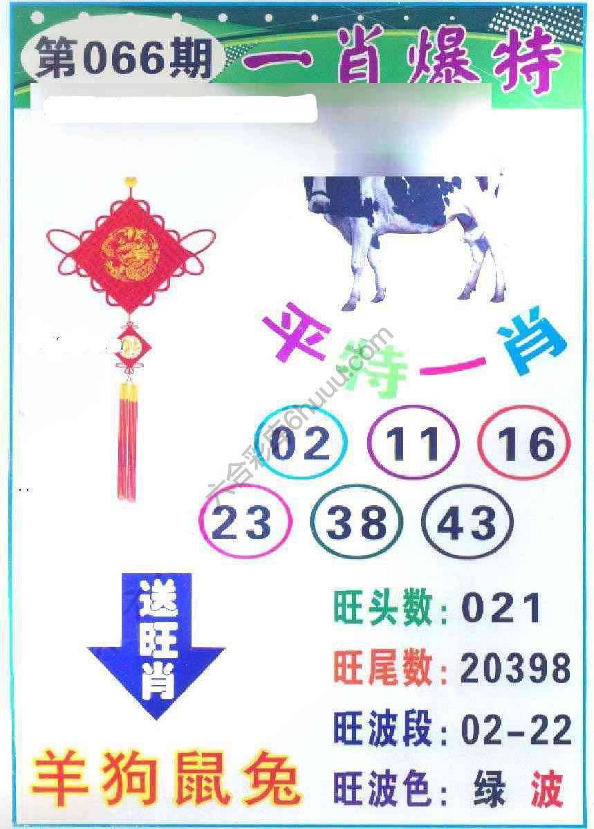 一肖爆特（新版）