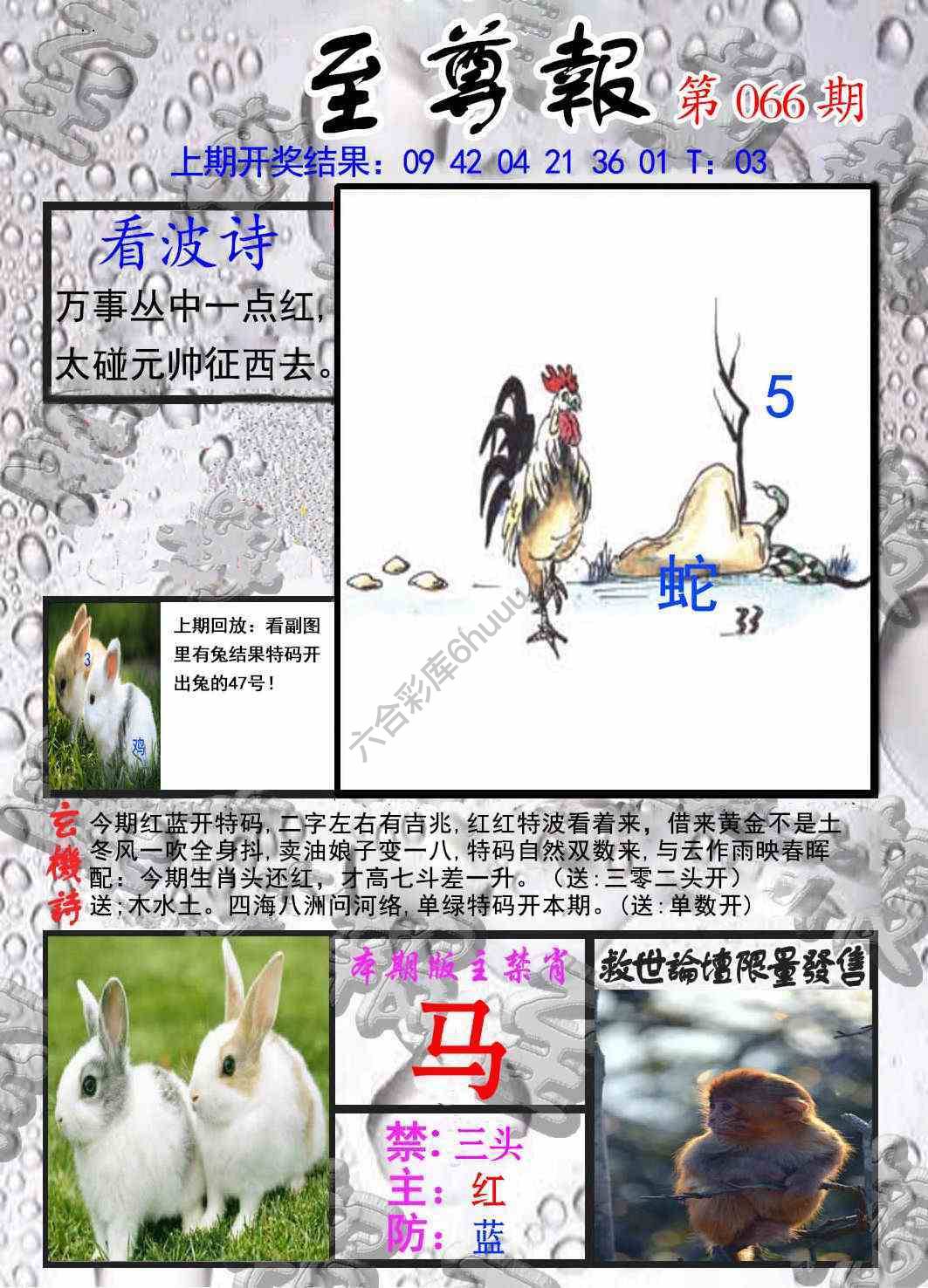 至尊报