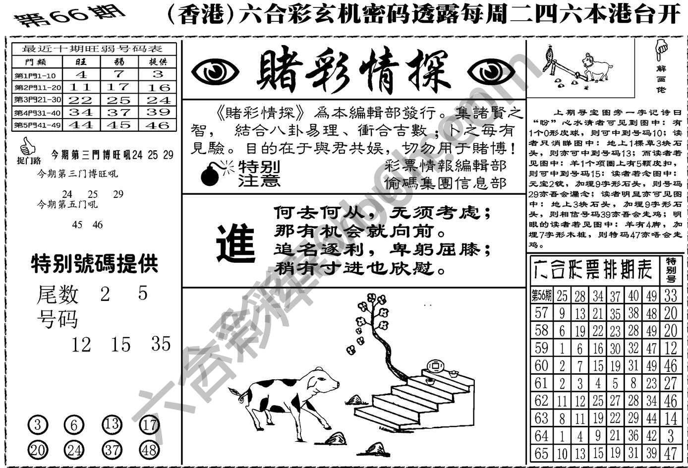 赌彩情探
