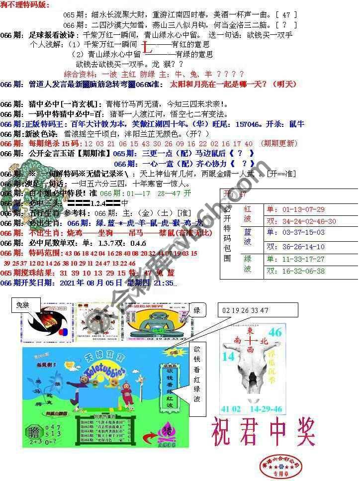 青龙五鬼报