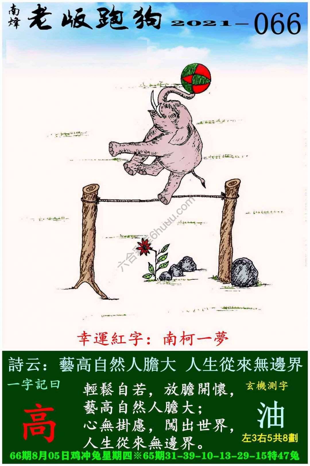 老版跑狗图