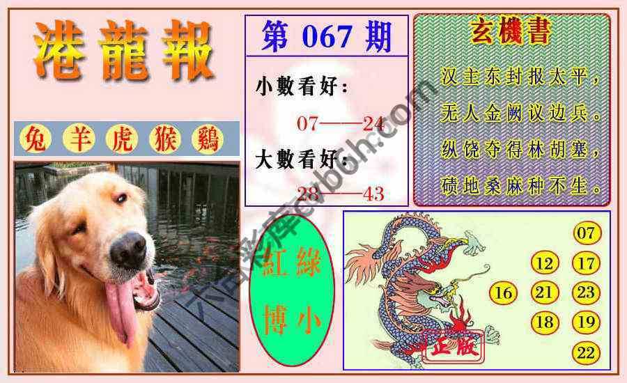 港龙报