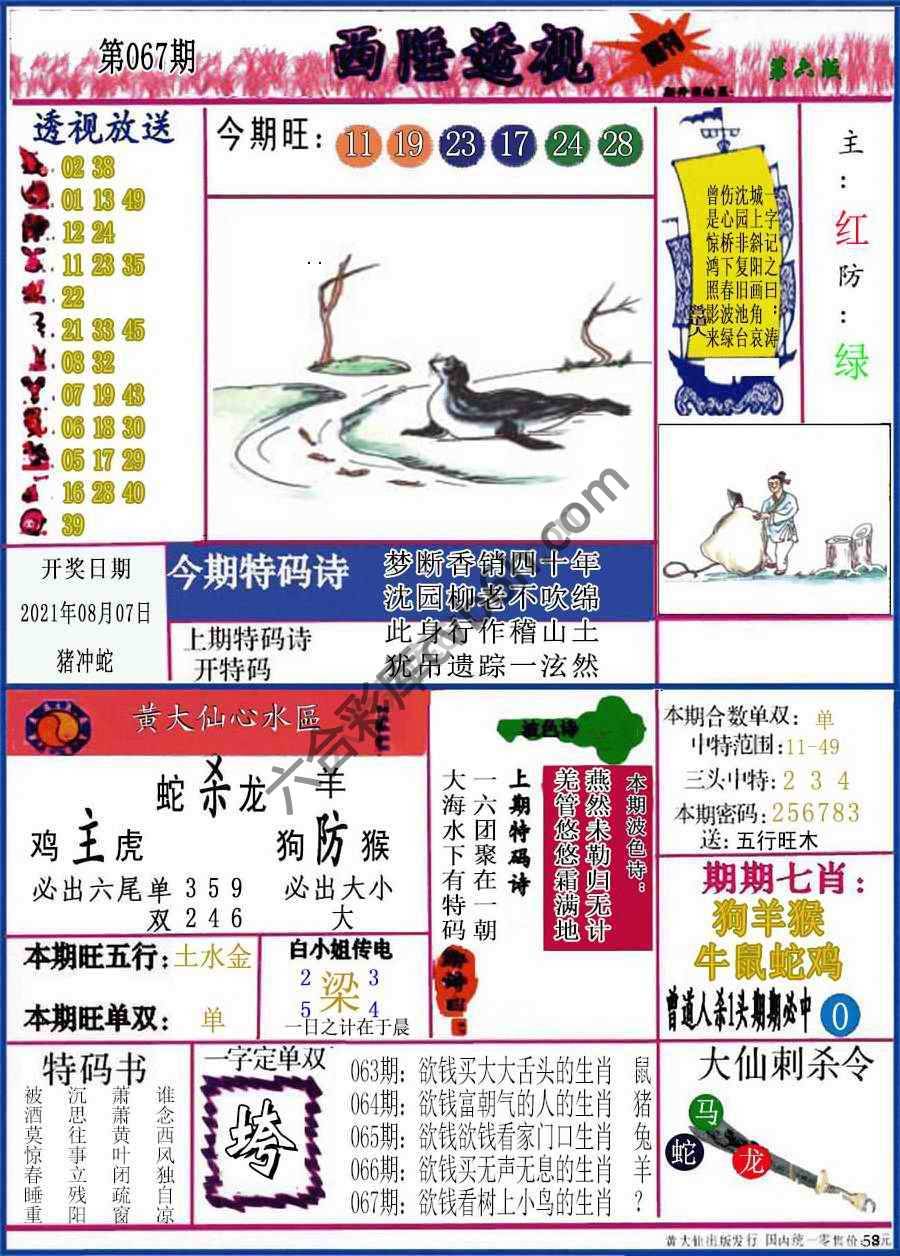 西陲透视（正版）