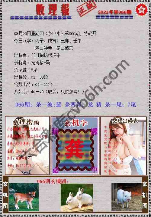 数理报
