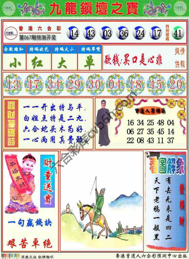 九龙挂牌解特码