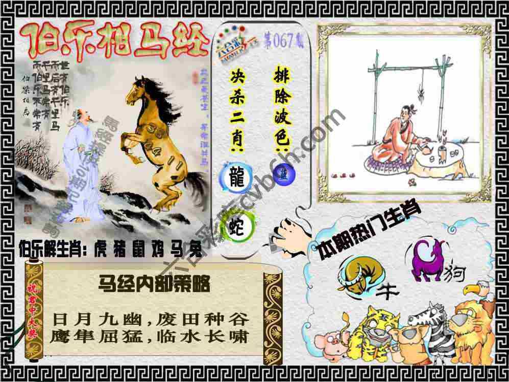 伯乐相马经