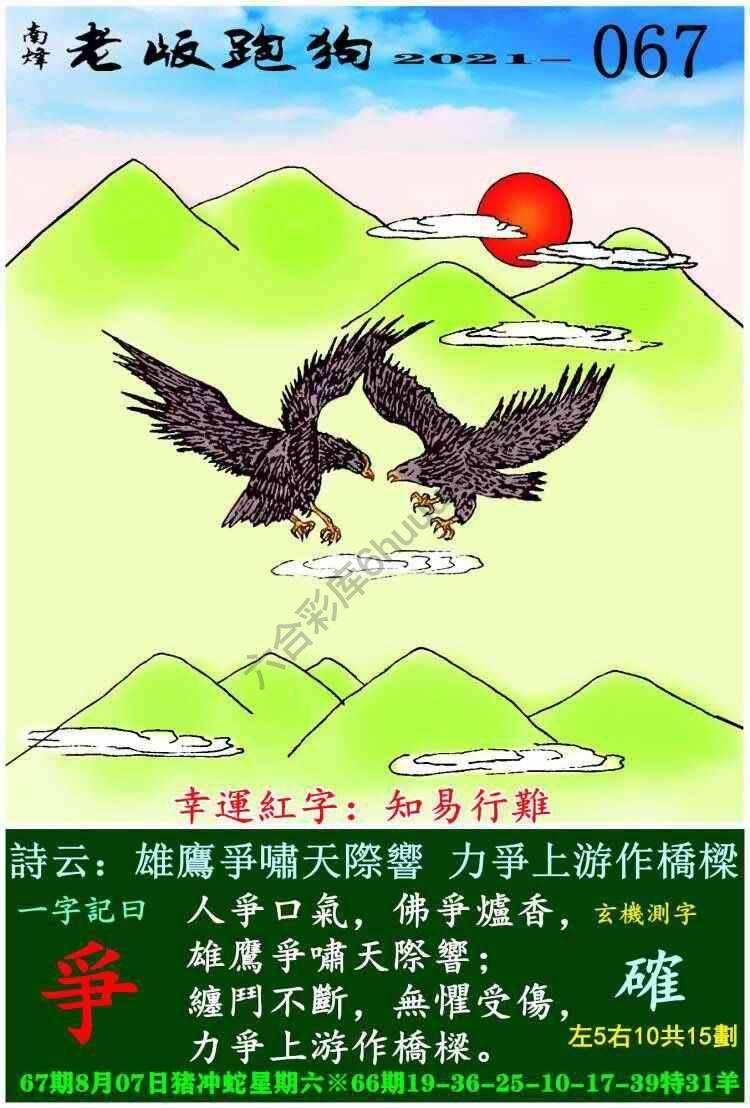 老版跑狗图