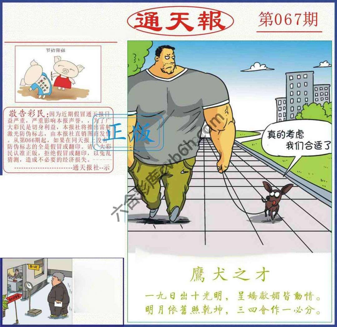 正版通天报