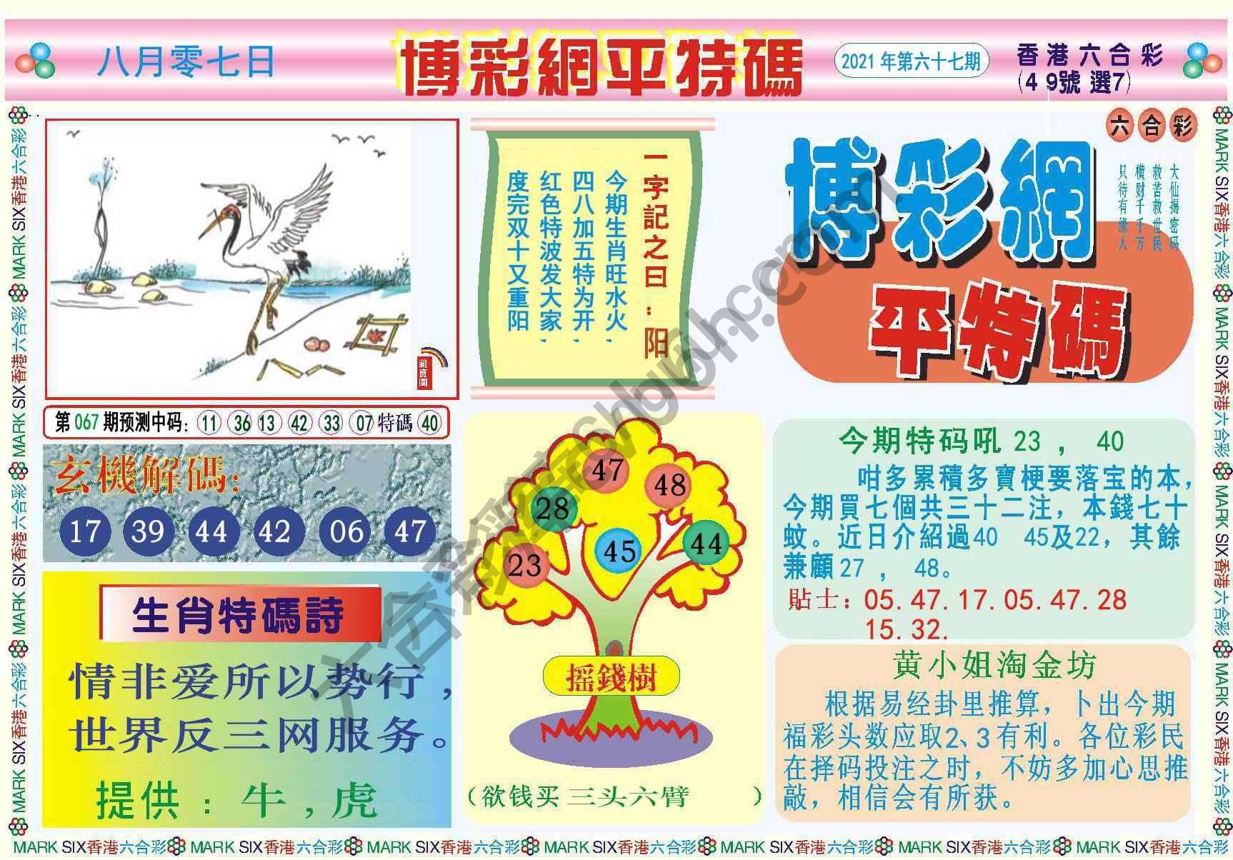 博彩网平特码