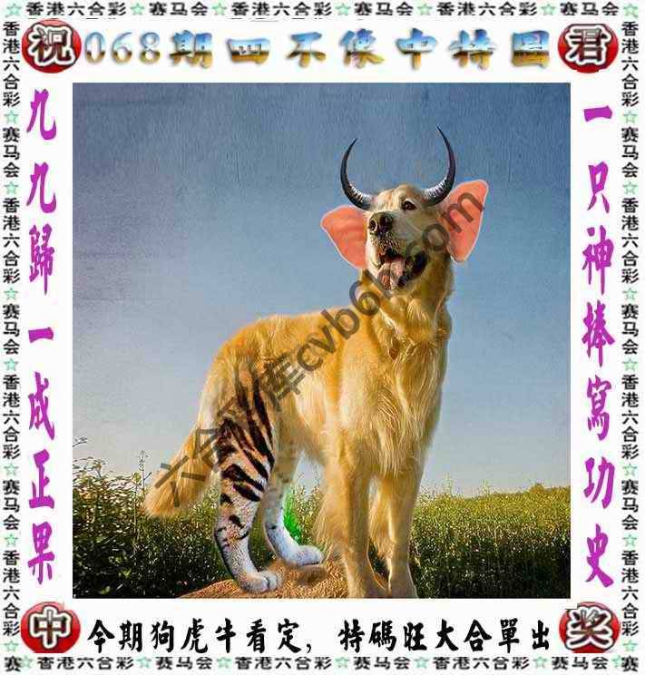 四不像中特图