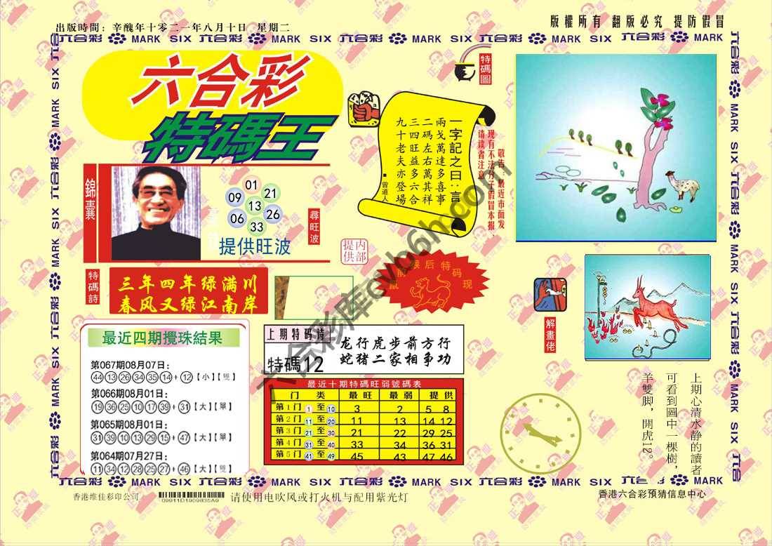 特码王