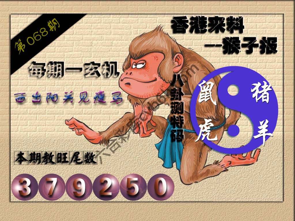 猴子报