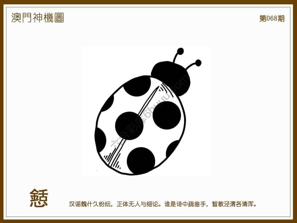 澳门神机图