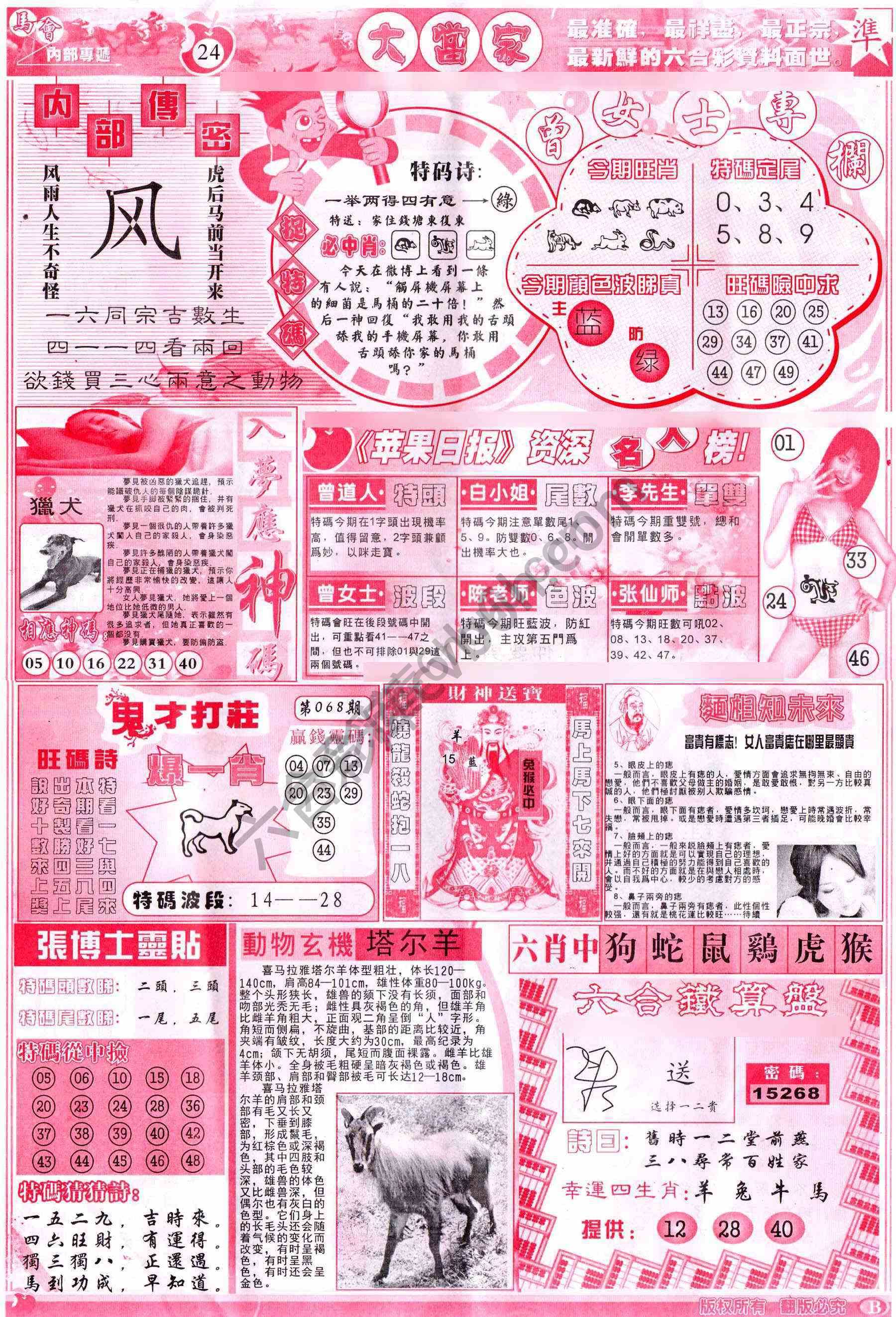 大当家