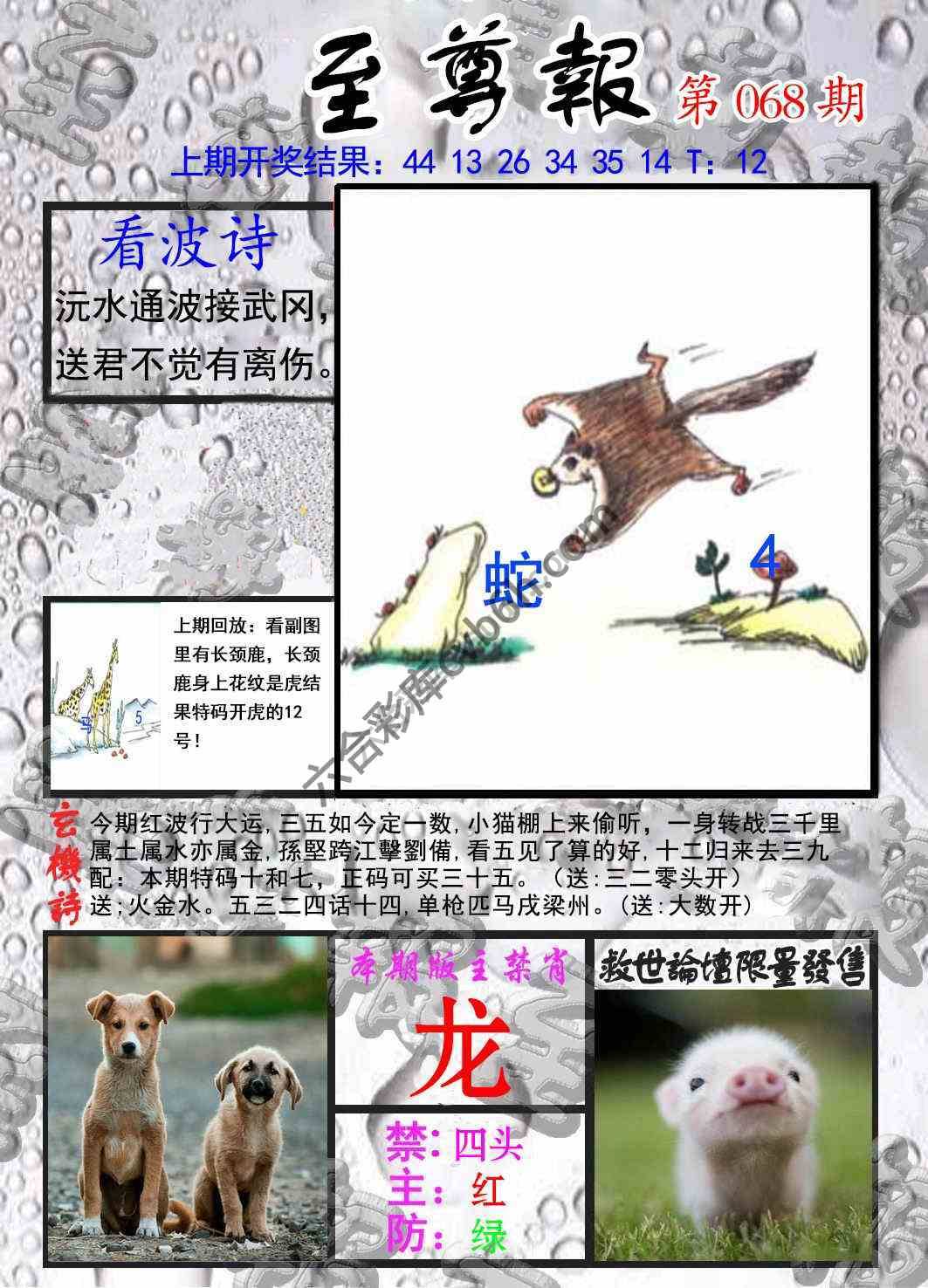 至尊报