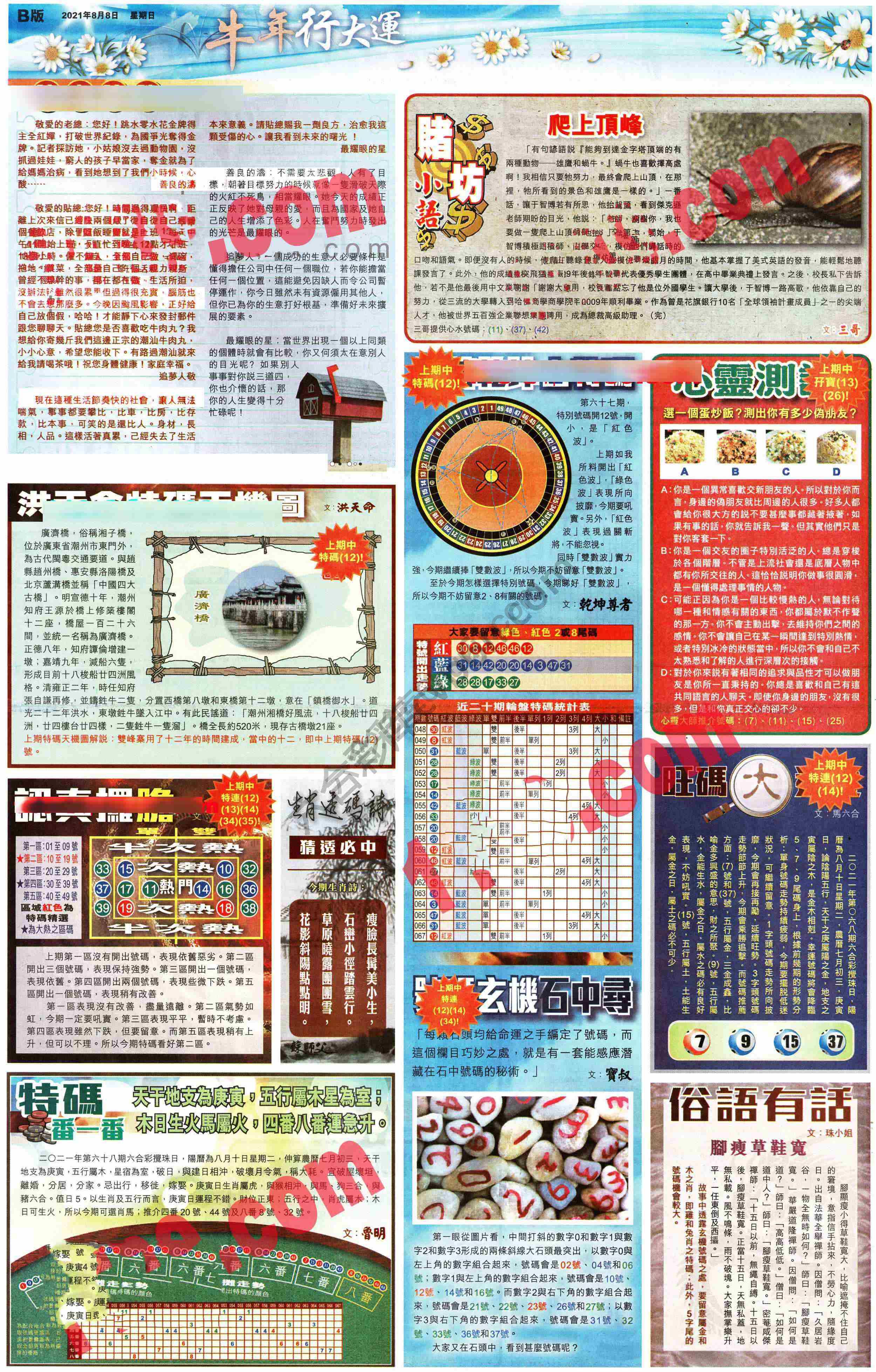 大版贴士皇