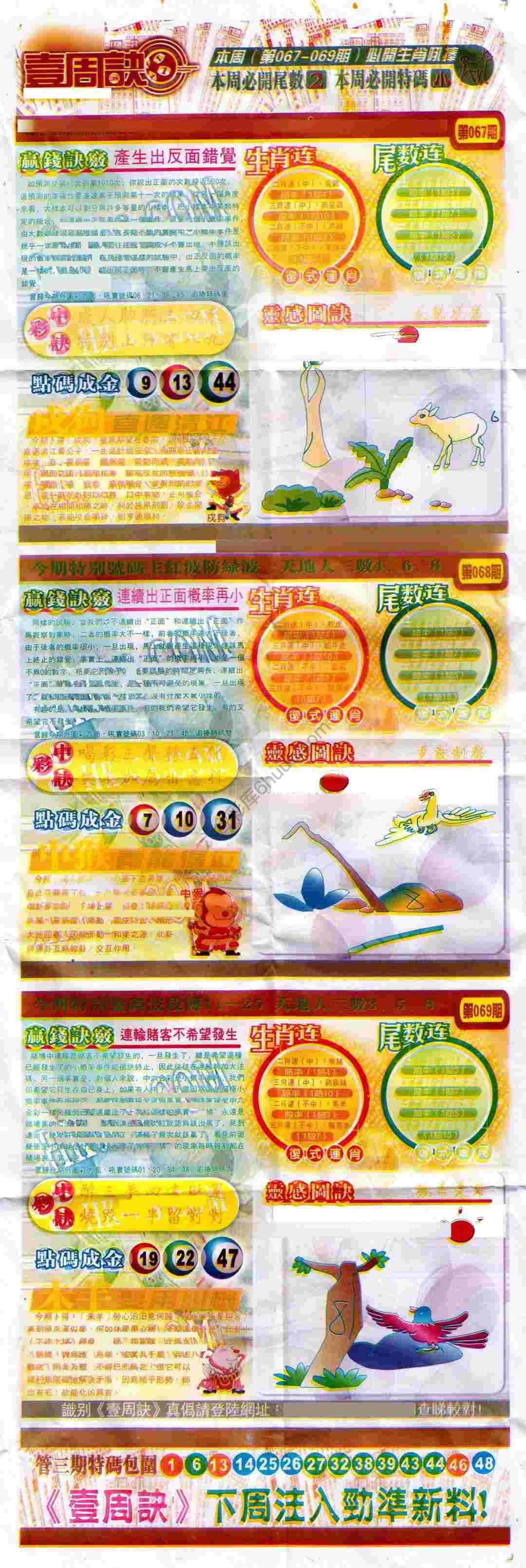 一周决