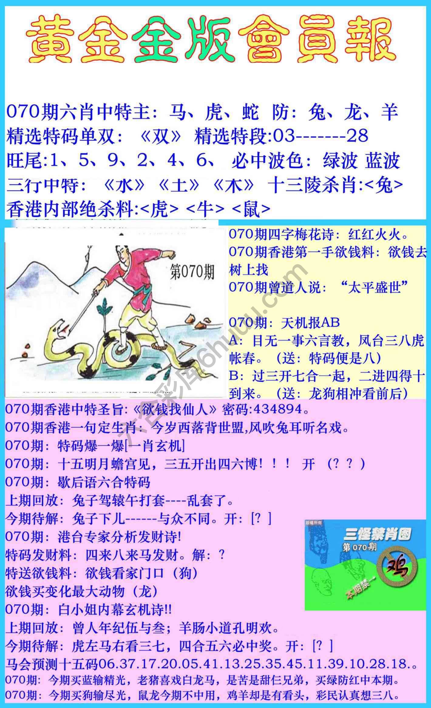 黄金金版会员报