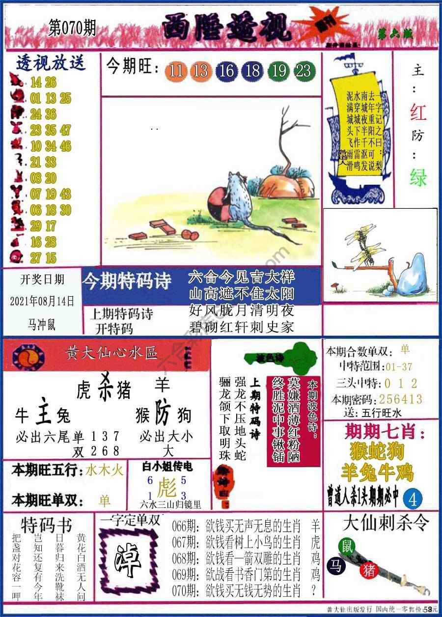 西陲透视（正版）