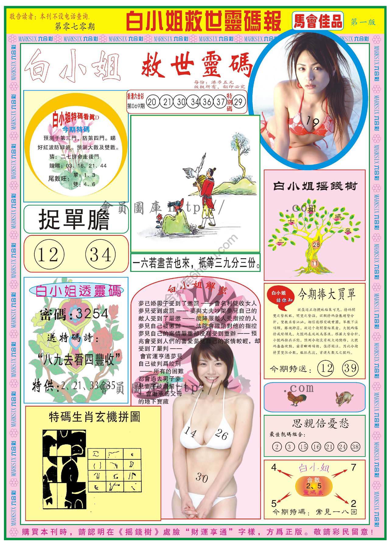 白小姐救世灵码报