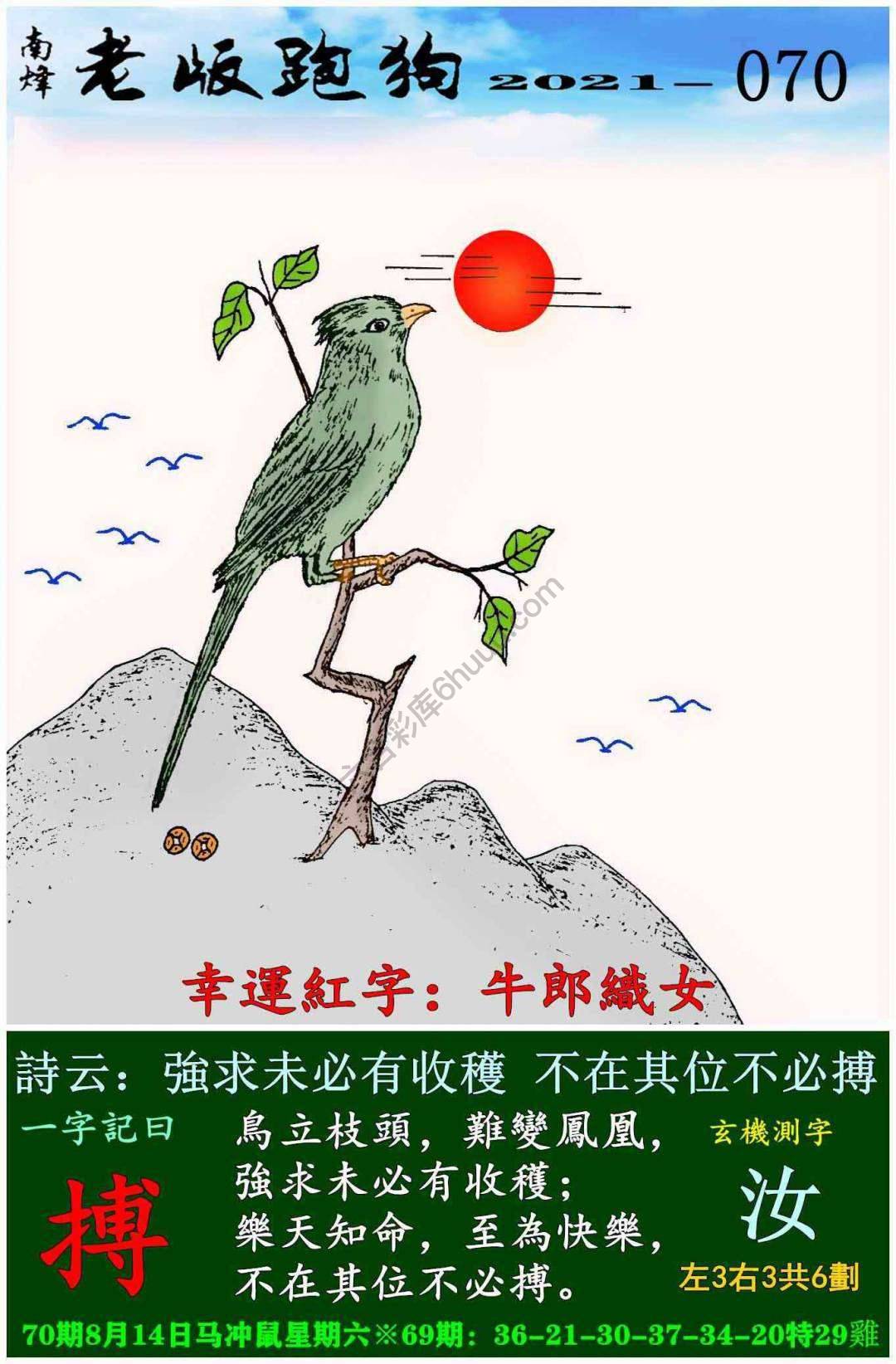老版跑狗图