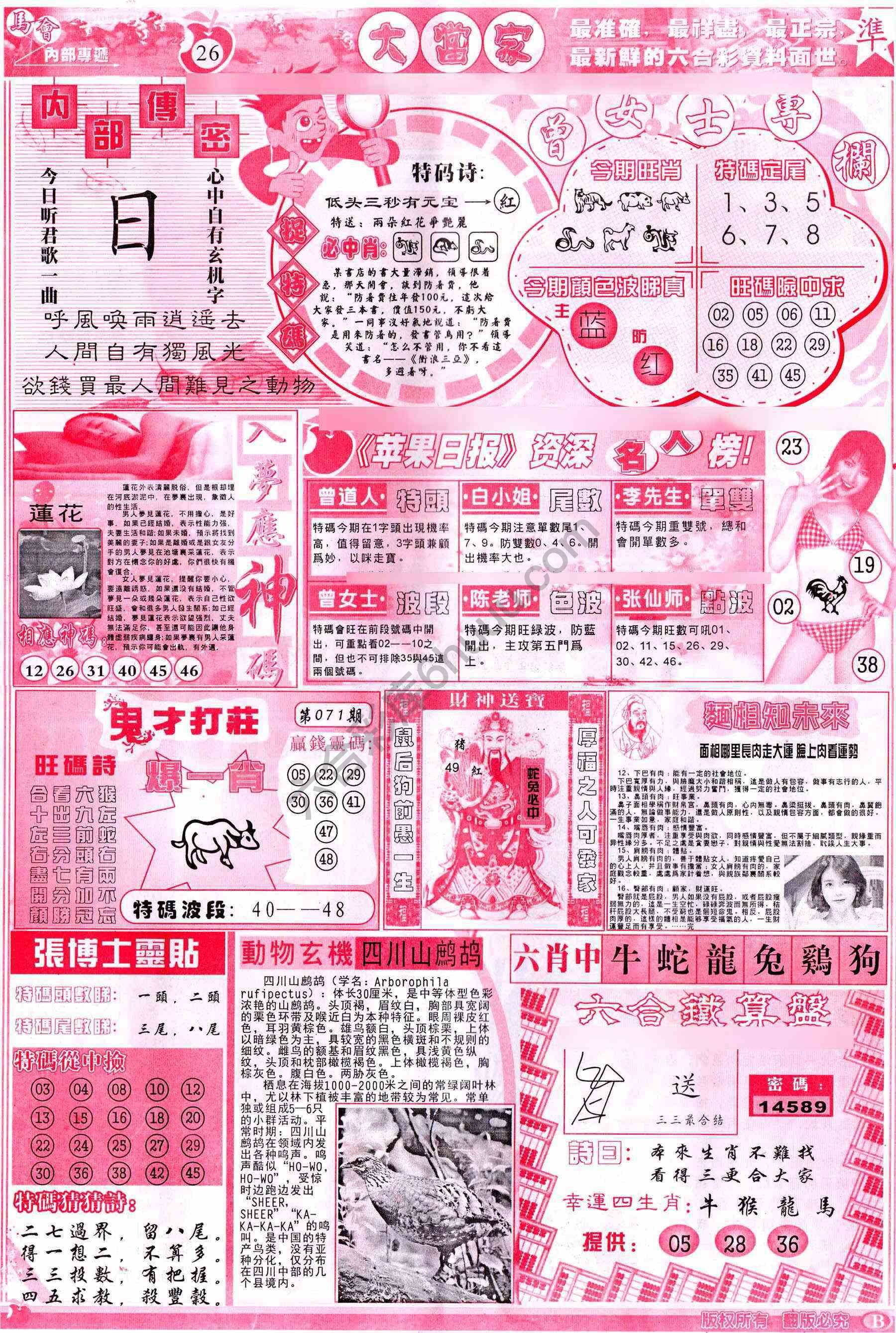 大当家
