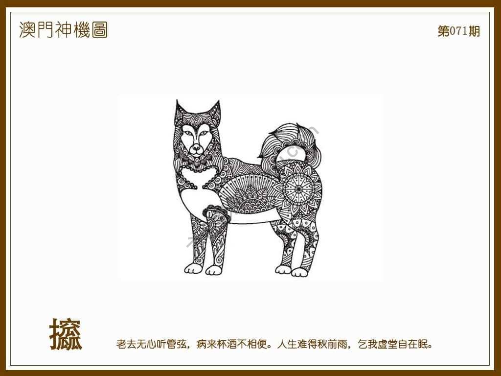 澳门神机图