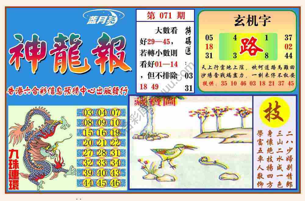 蓝月亮神龙报