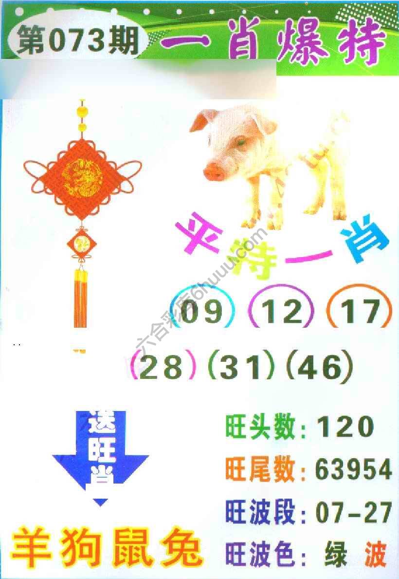 一肖爆特（新版）