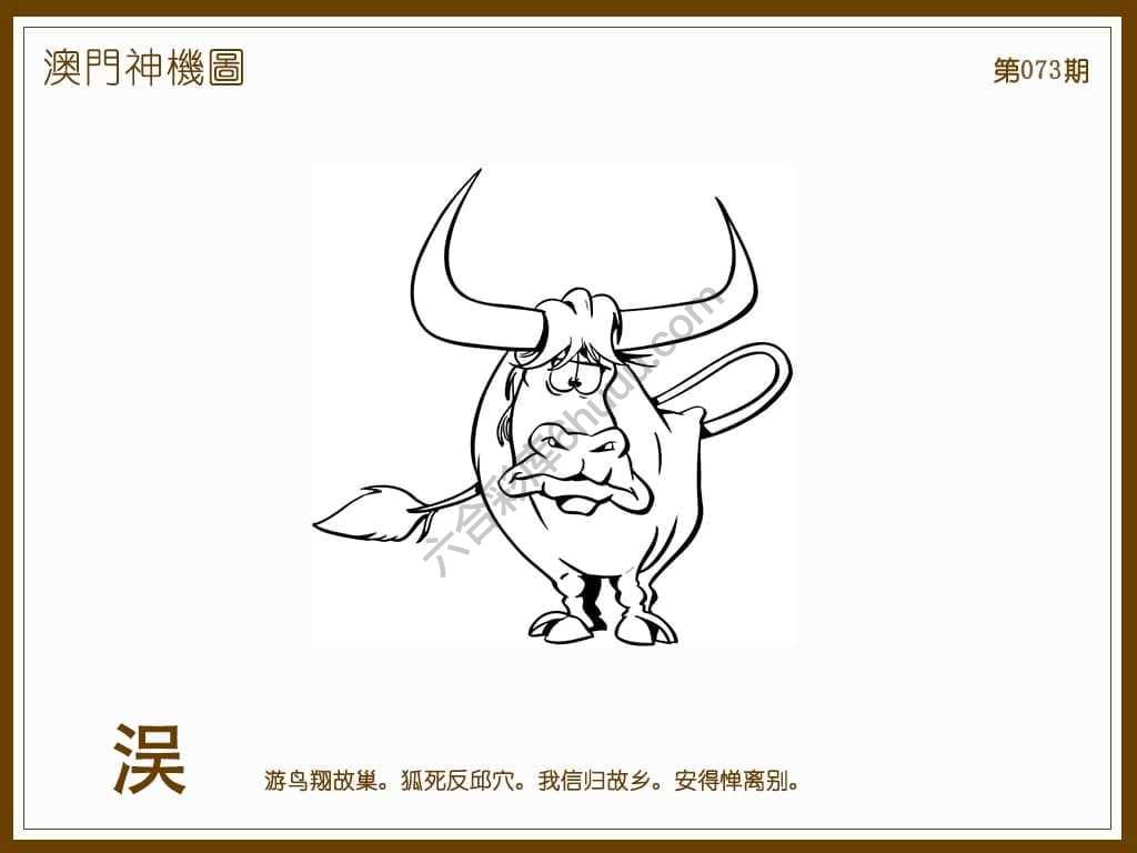 澳门神机图