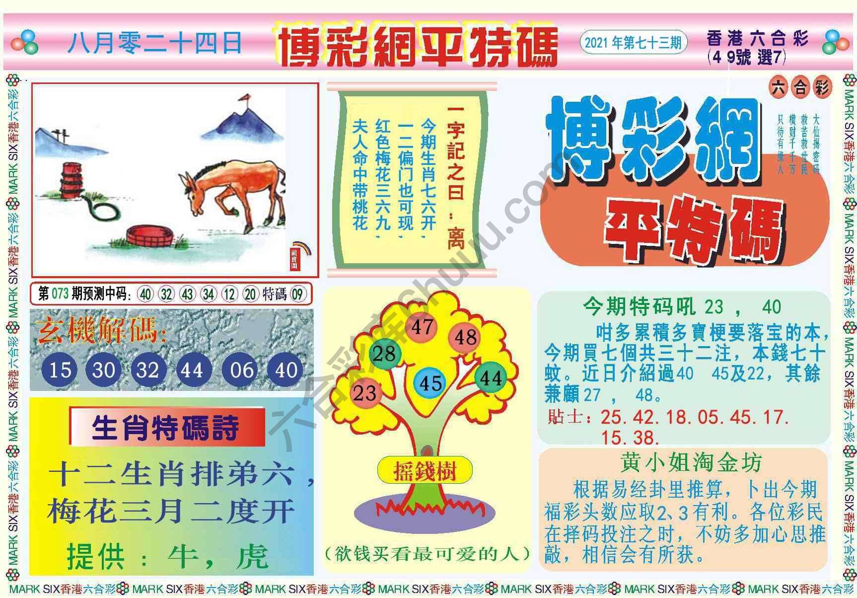博彩网平特码