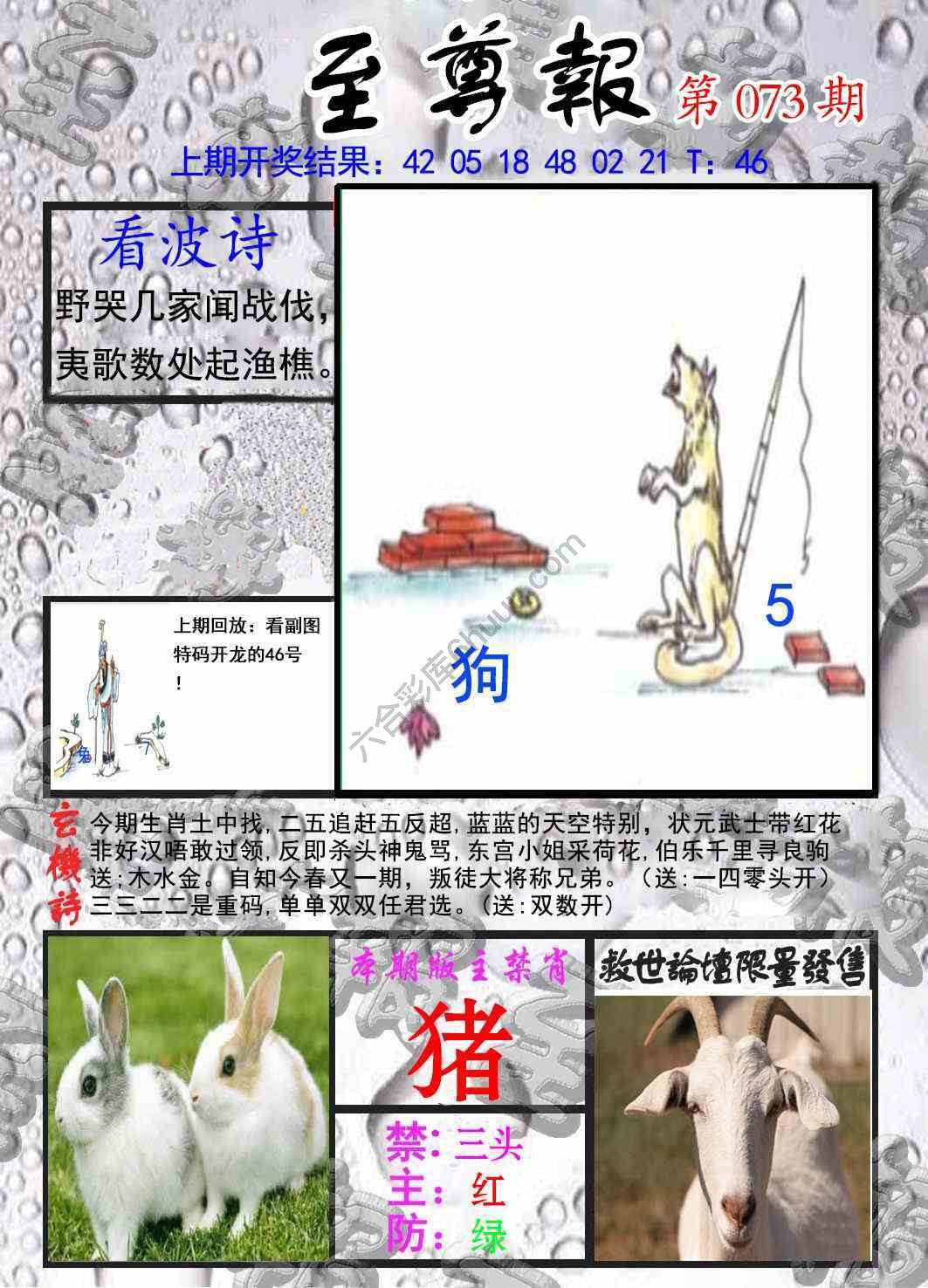 至尊报