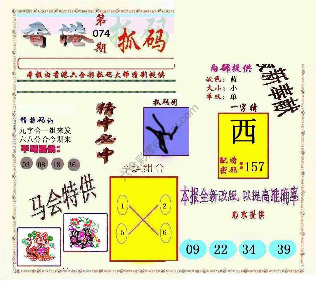 新抓码王